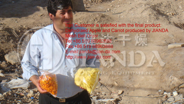 DWT網(wǎng)帶式脫水蔬菜干燥機(jī)