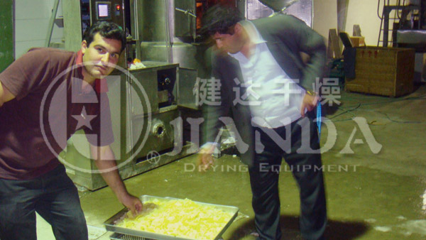 DWT網(wǎng)帶式脫水蔬菜干燥機(jī)